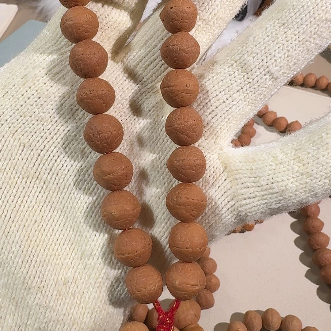 凤眼菩提吊坠12尺寸尼泊尔凤眼菩提