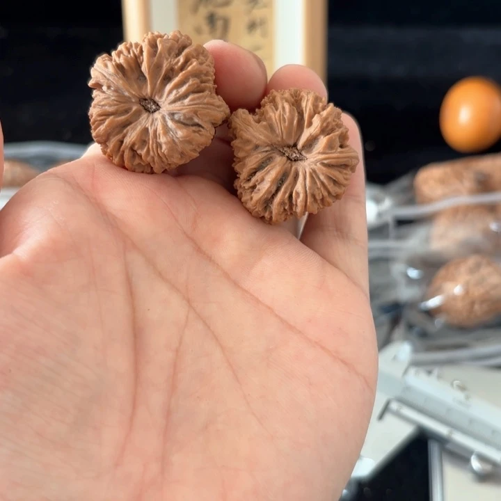 文玩核桃吊坠L****Y南将