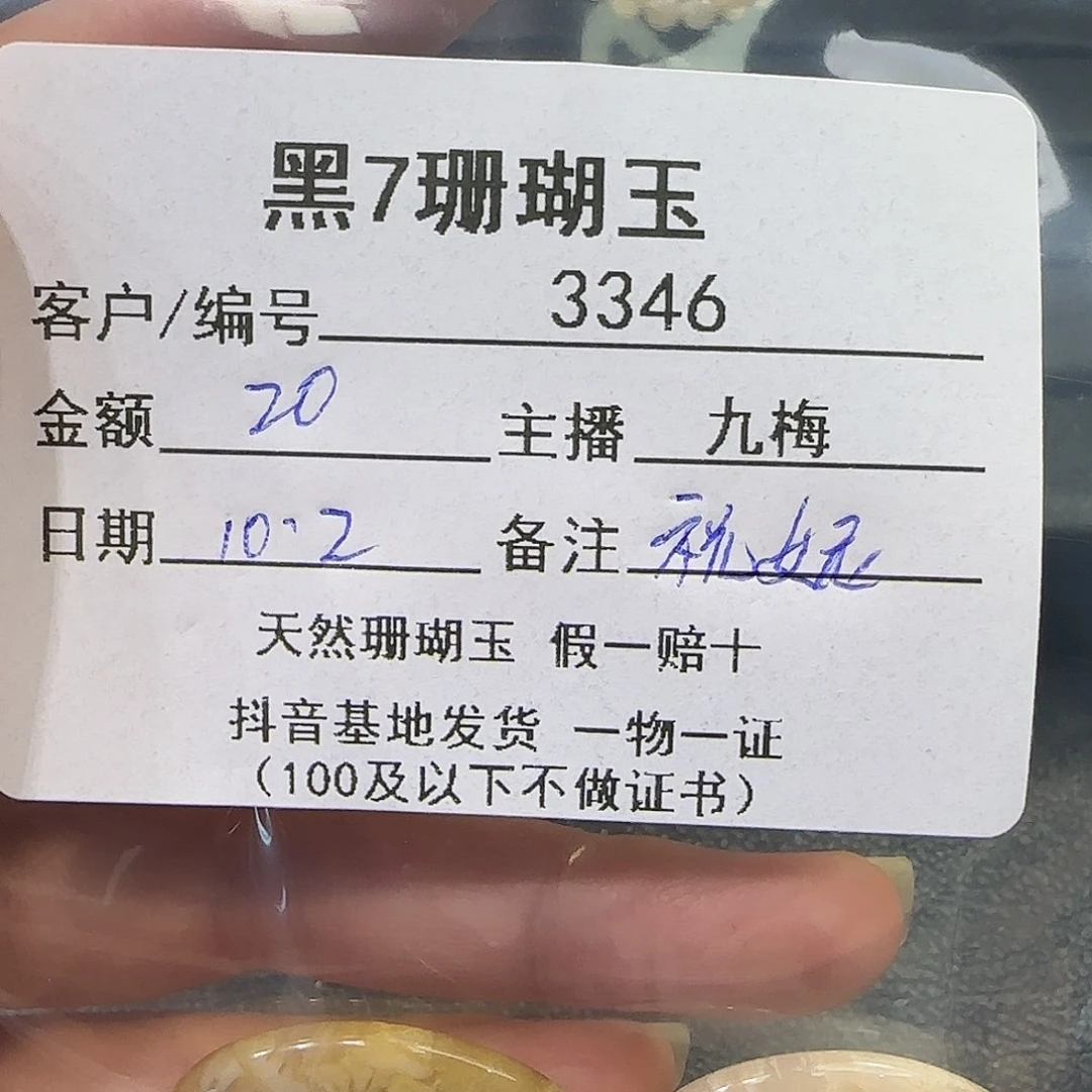 妮***安硅化玉未镶嵌吊坠(不含链)