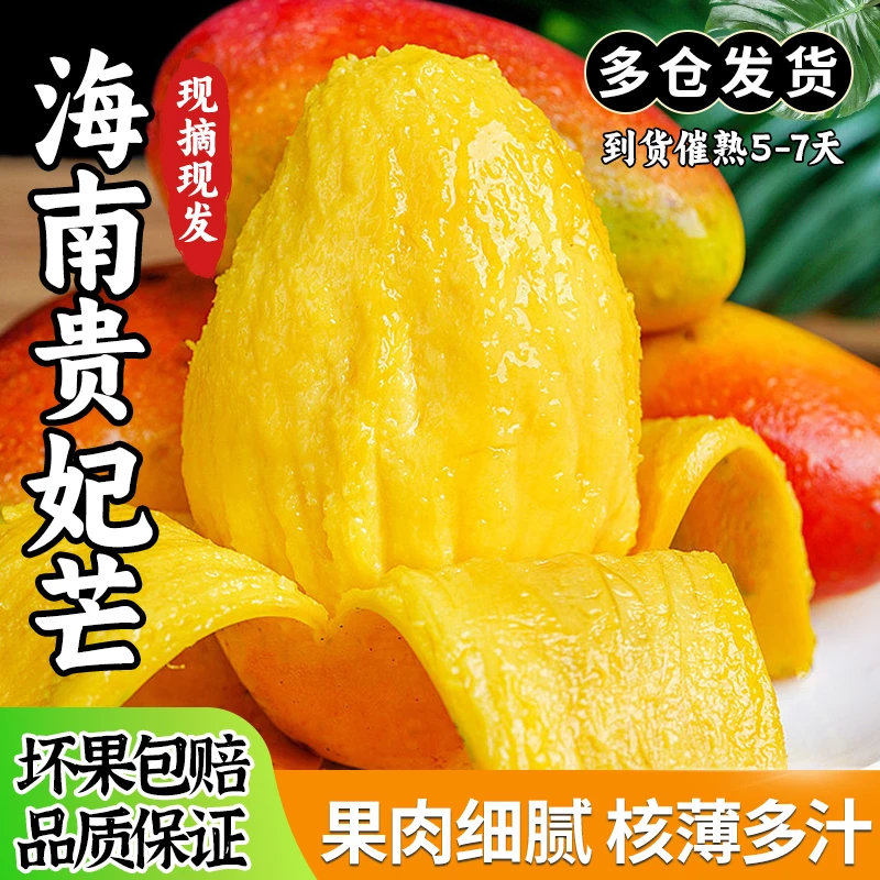 【催熟食用】海南贵妃芒8斤新鲜水果应当季红金龙芒果多仓发货