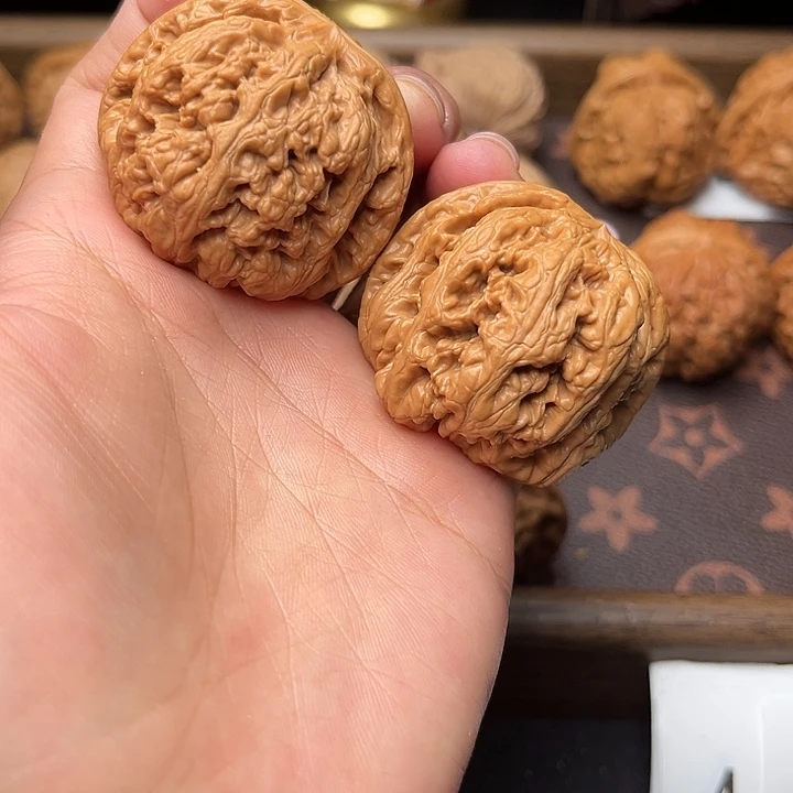 核桃41粗筋福利对