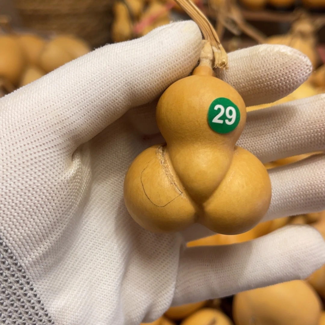闪拍葫芦链接-29号品