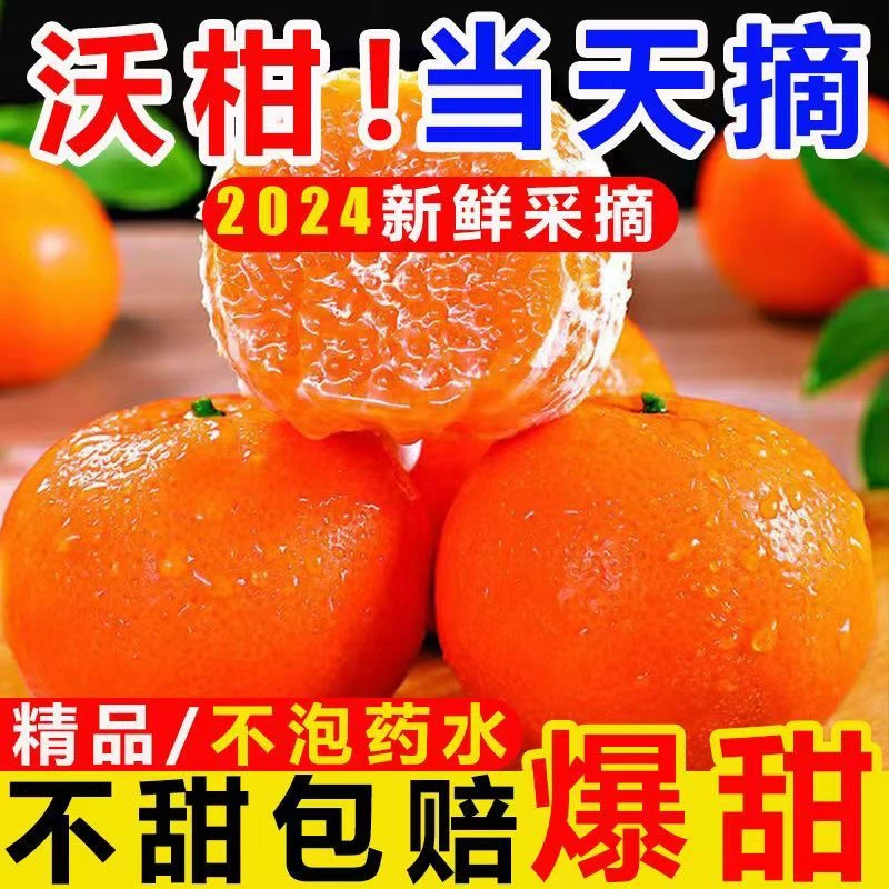 66广西武鸣沃柑新鲜水果皮薄多汁香甜柑橘当季采摘