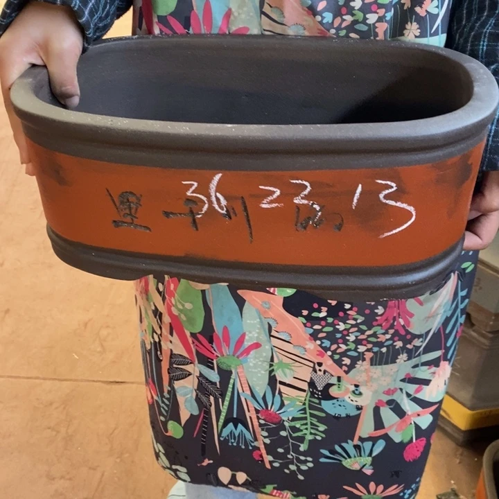 紫砂花盆只顾看手机和睡觉