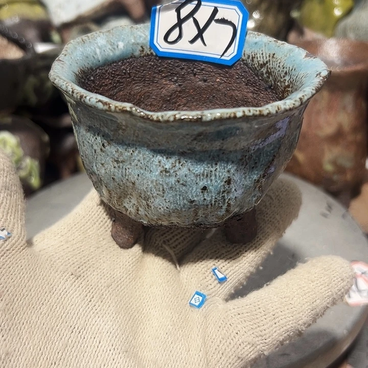 粗陶花盆制作就这样的支持