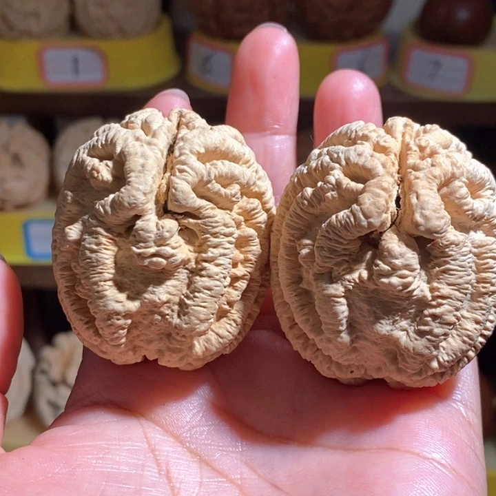 野生鬼脸乾坤核桃