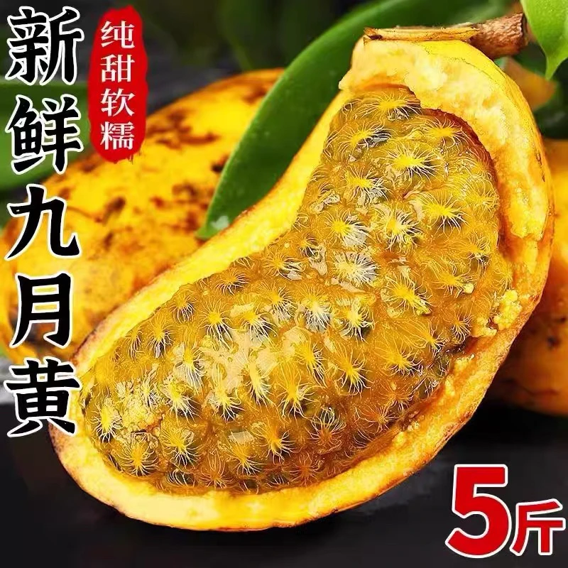 新鲜九月黄水果新鲜八月瓜网红鲜果牛卵坨麻藤包木通果一整箱甜瓜