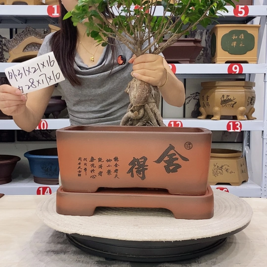 紫砂花盆紫砂花盆