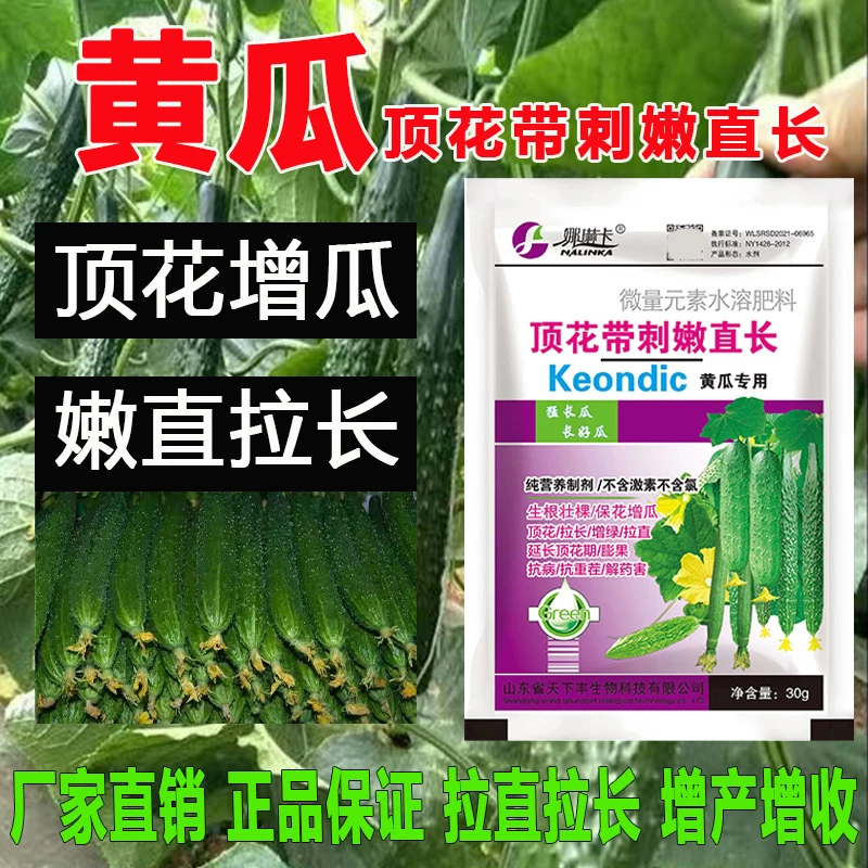 黄瓜顶花带刺嫩直长黄瓜拉直拉长药黄瓜授粉膨大增瓜顶花高产专用