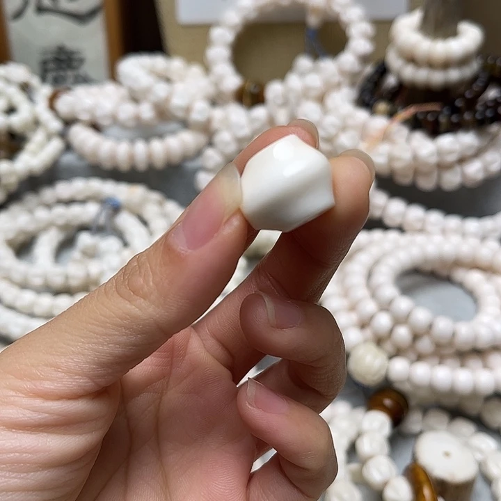 香榧木鹿角1.5鲨鱼呗