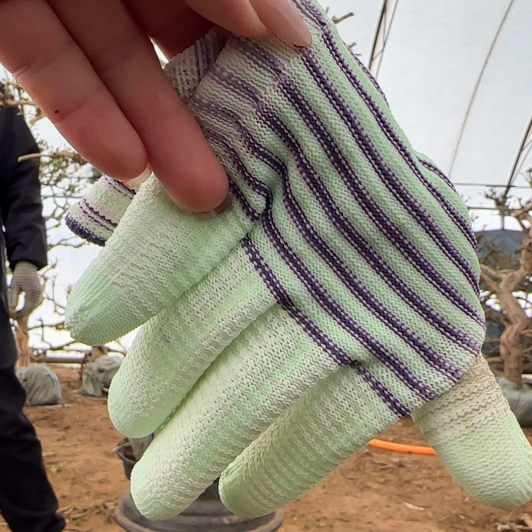 完全开放金银花125458588