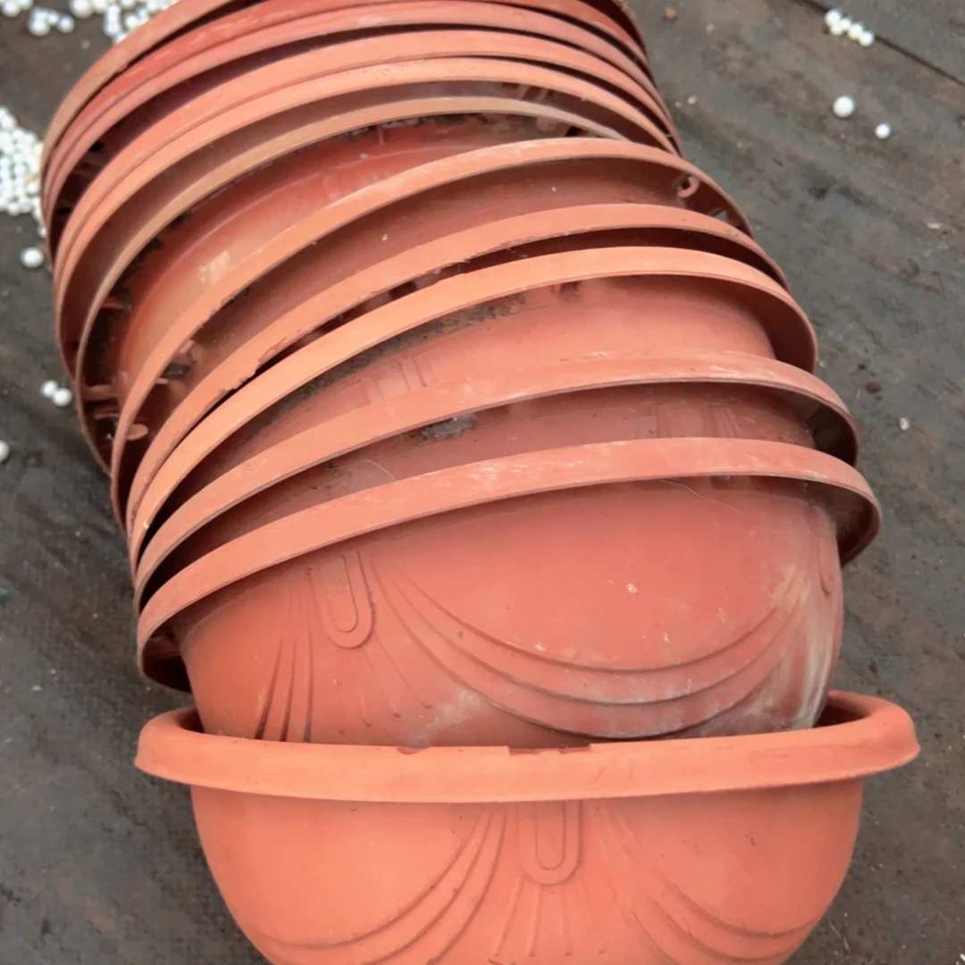 红吊兰盆27口径13高 12个