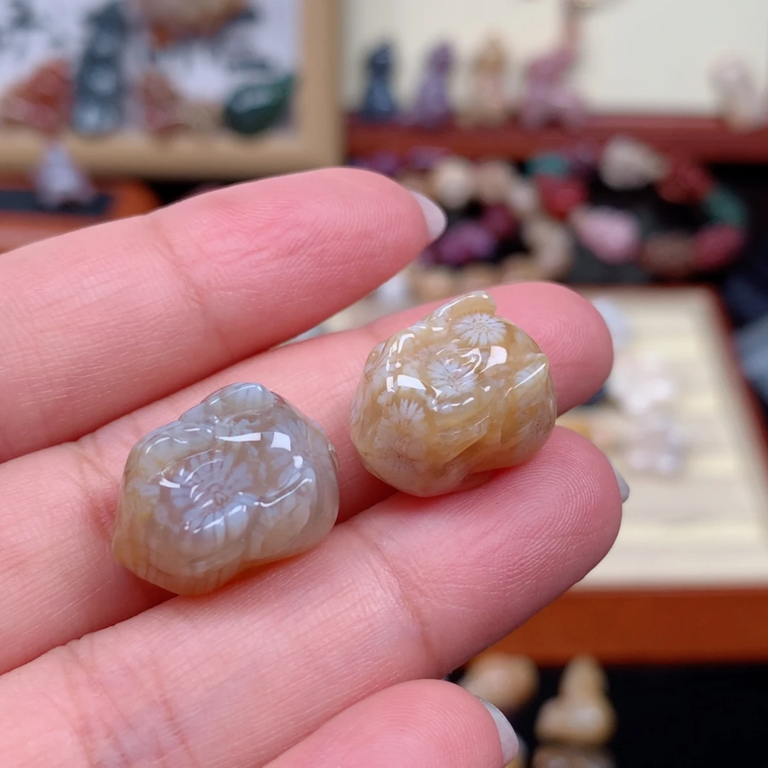 硅化玉珊瑚玉未镶嵌
