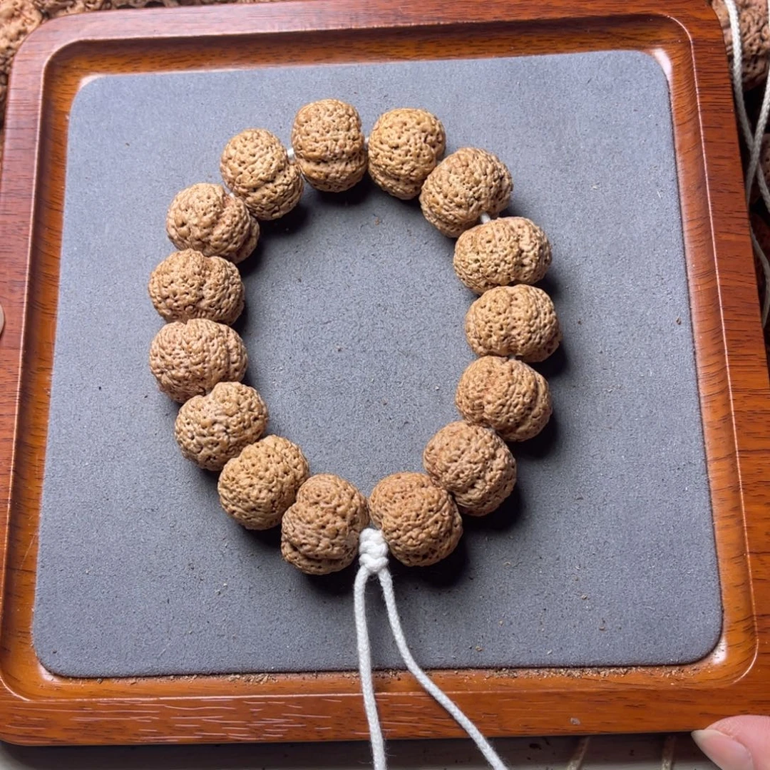 菩提籽类10号金刚菩提菠萝蜜22