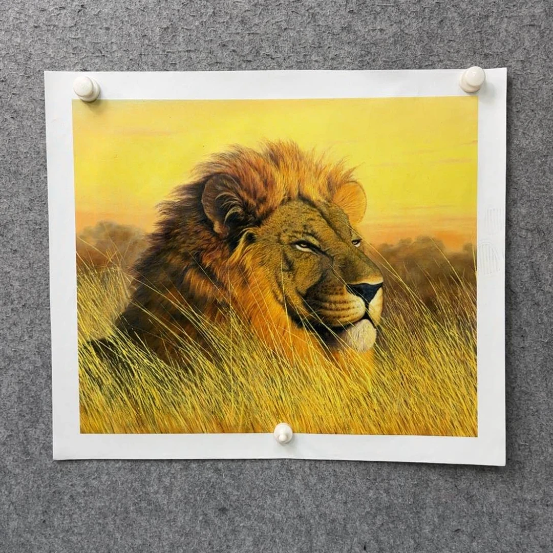 书法作品多次参加全国性