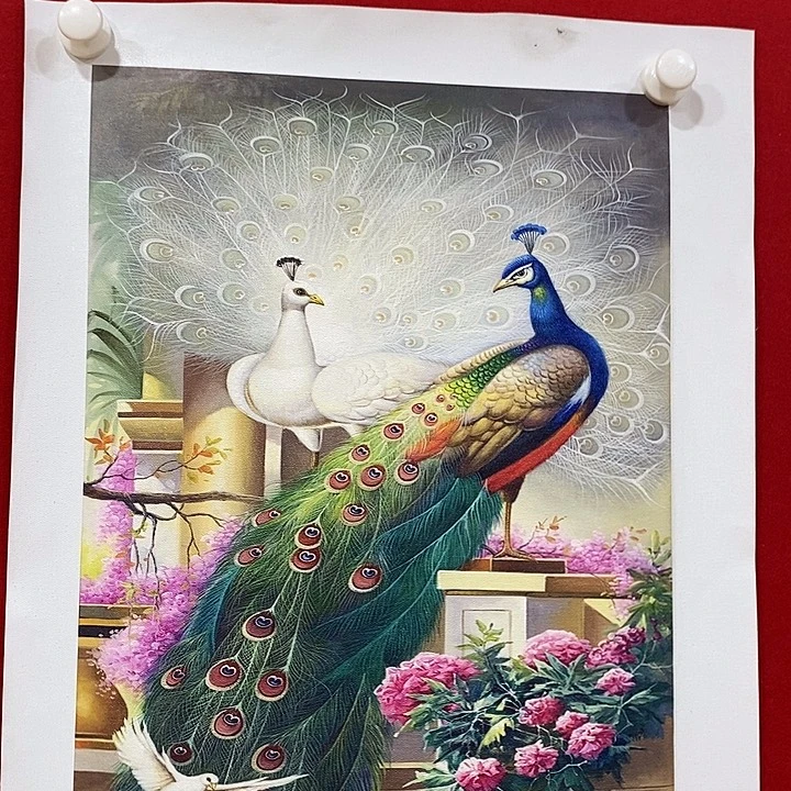 印石昌化石欢迎大家加入