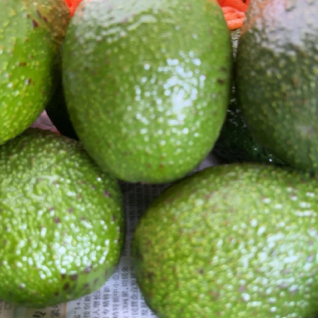 细软清香牛油果，牛油果同城