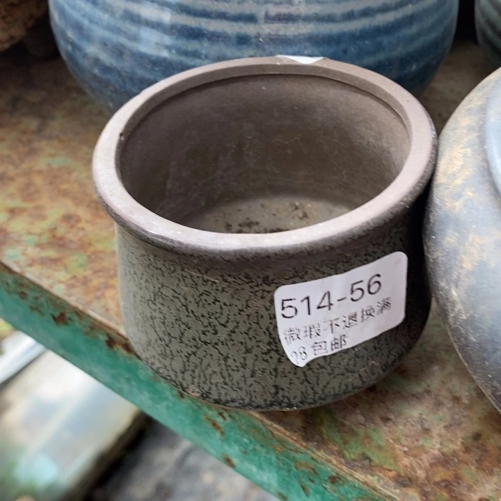 56号多肉盆小可爱