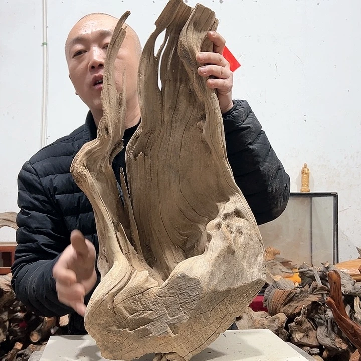 柏木柏*我们的生活也是如此