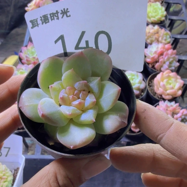 140.qqqqqqwwwwwwww