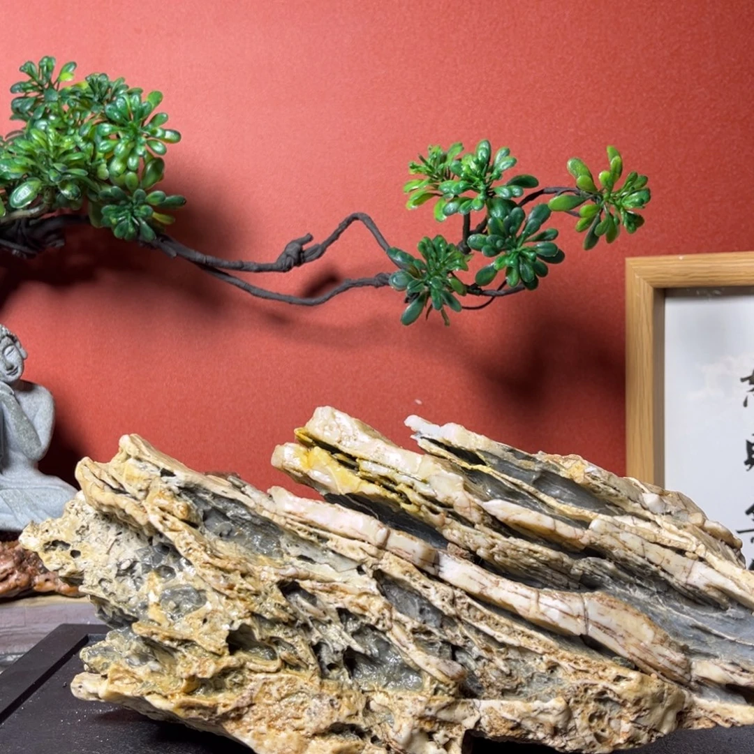 …***…三醋酯纤维111111111145