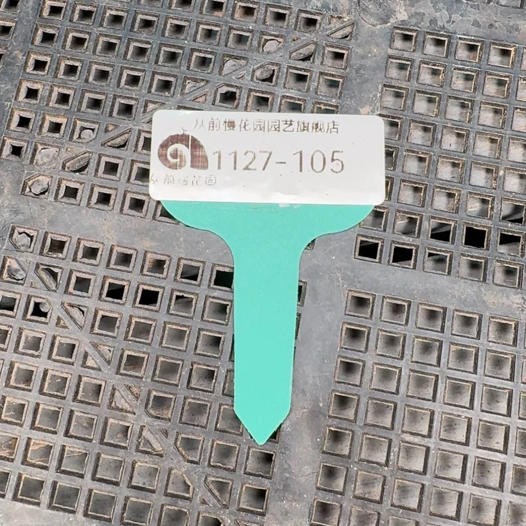 从前慢多肉精选编号1127.105