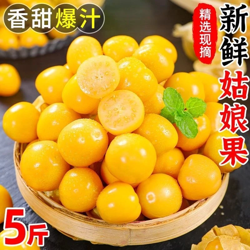 【不甜包退】东北菇娘果薄皮姑娘果灯笼果香甜多汁新鲜采摘产地直发