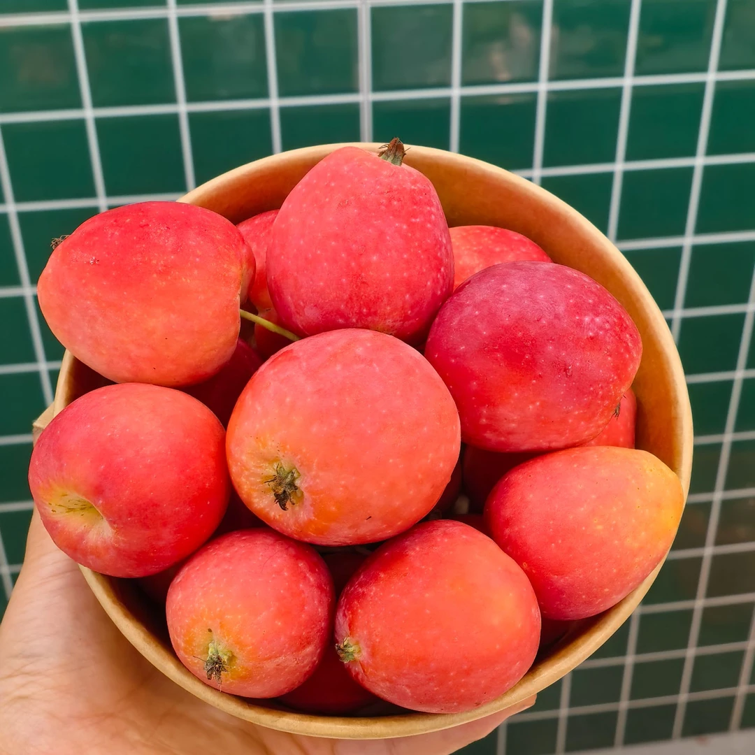 果切【洗净】香槟果 一盒【约330g】