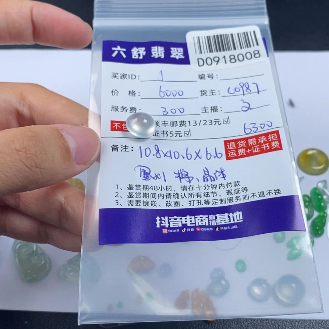J***未镶嵌挂件翡翠D0918008