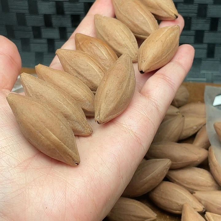 橄榄核手串/手链橄榄