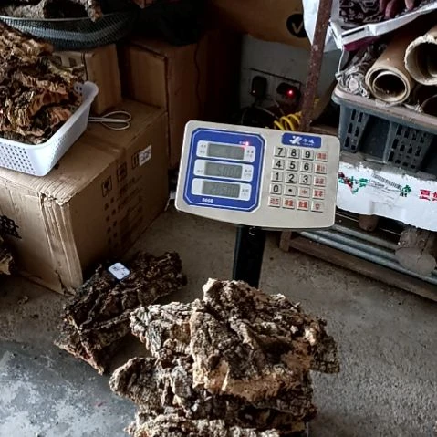 打**级一物一拍一物一发