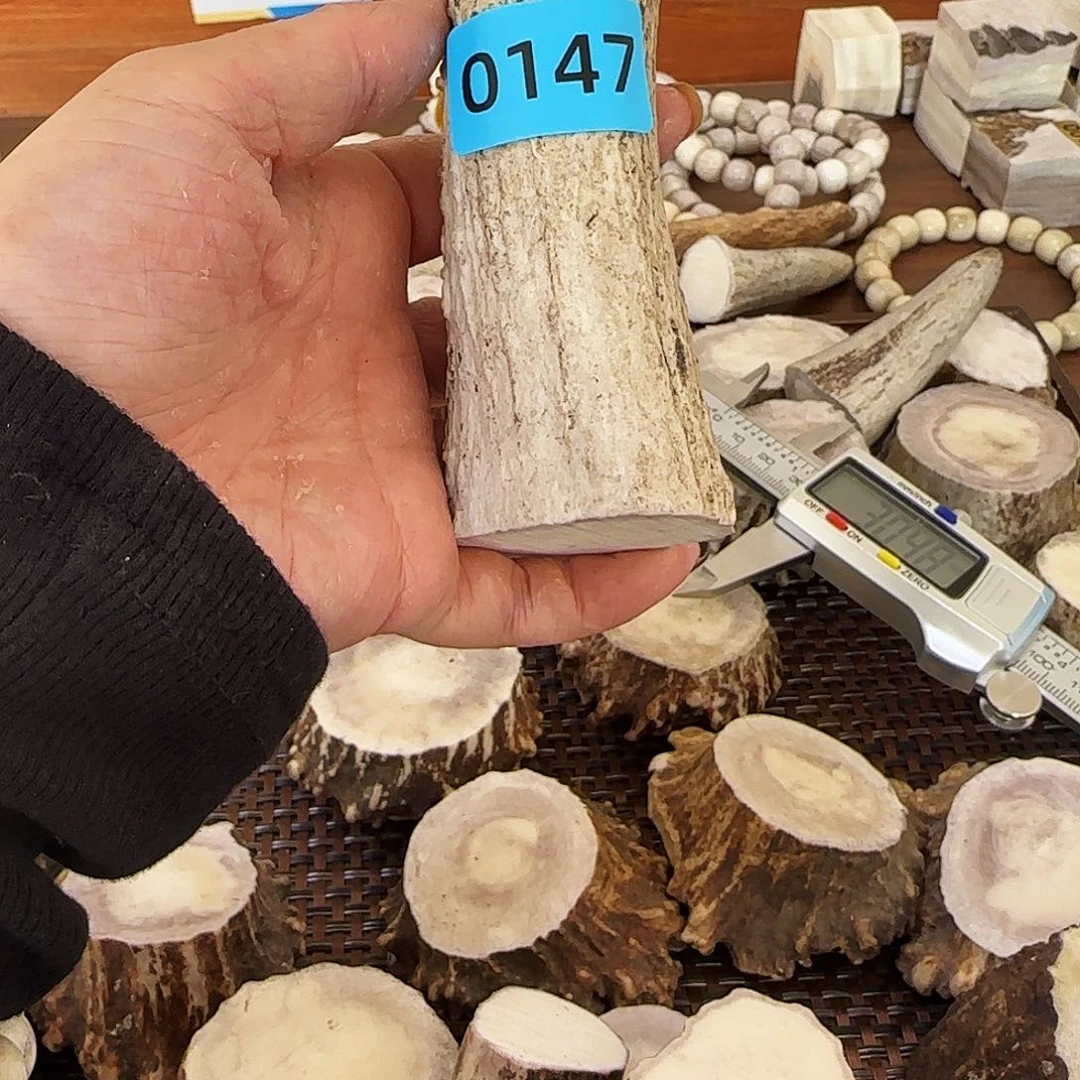 手串/手链鹿骨0147段