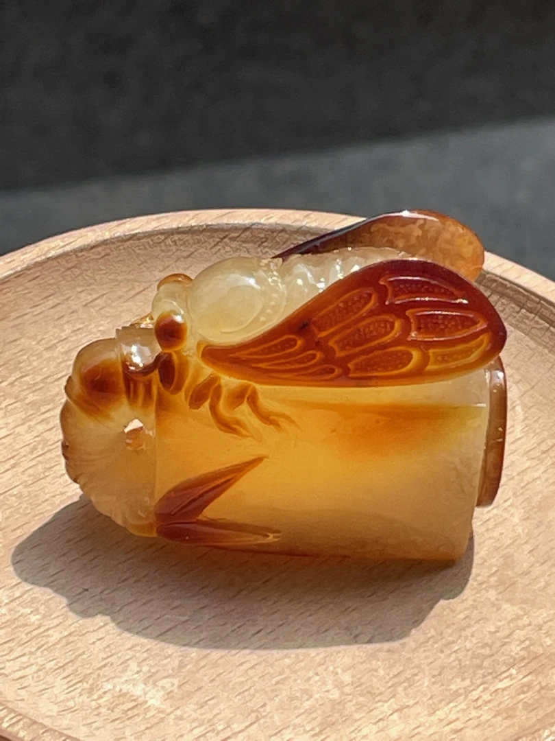 蜜蜡吊坠手把件蝉一鸣惊人22.9g47.6/34.9/22.2mm