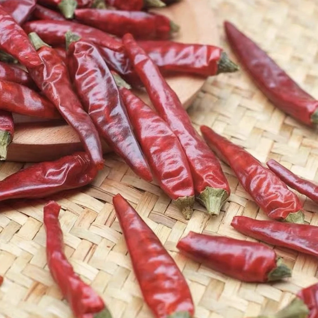 贵州大山货=小辣+椒 农户自种 辣度适中 500g