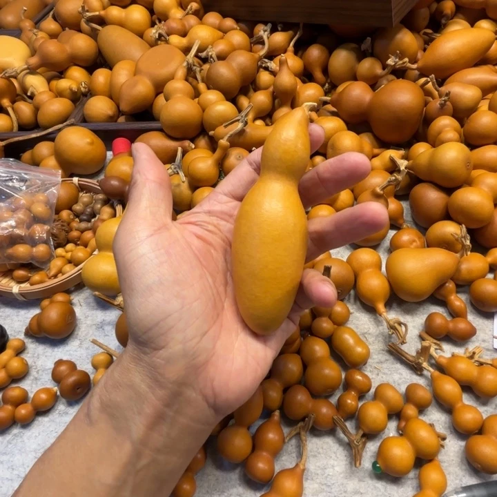 y*歪歪的一把蚂蚁葫芦葫芦