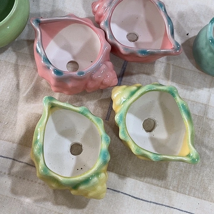 花盆抢购清货马上开始