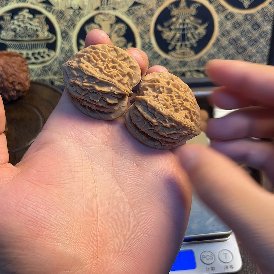 你***好洋葱头全品无休一刀未动