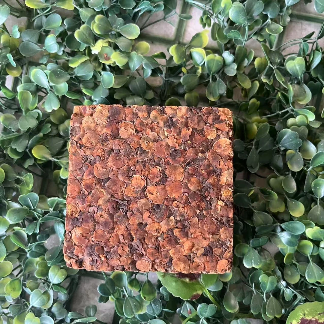 雨腾古茶 “人Y” 万N人Y无J仙G SX果200g/砖（4月14）