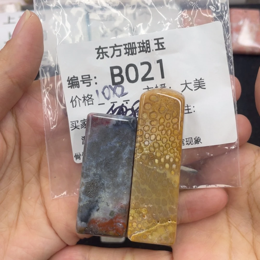 硅化珊瑚(珊瑚玉)合金颈饰珠**书