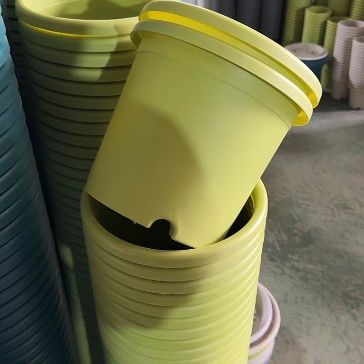 四季4#口径25果绿10个无托