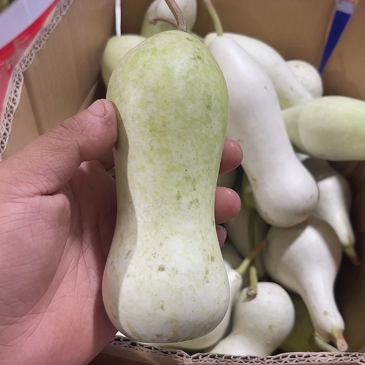 非洲紫檀(红花梨)老*