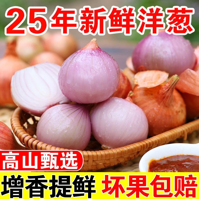 云南毛葱红葱头新鲜干葱头小圆葱熬葱油卤肉饭食材