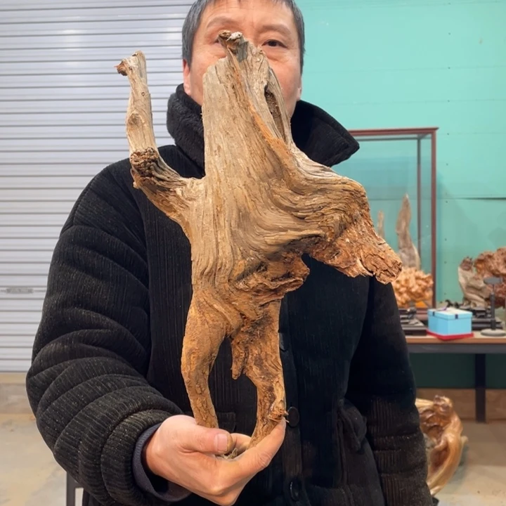 逍**主我们都是好孩子呀