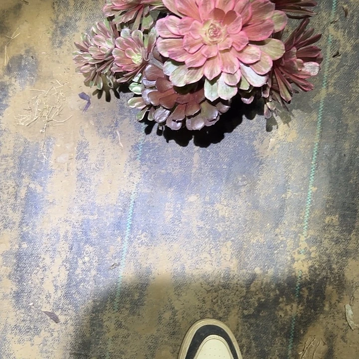 法师一物一拍链接13