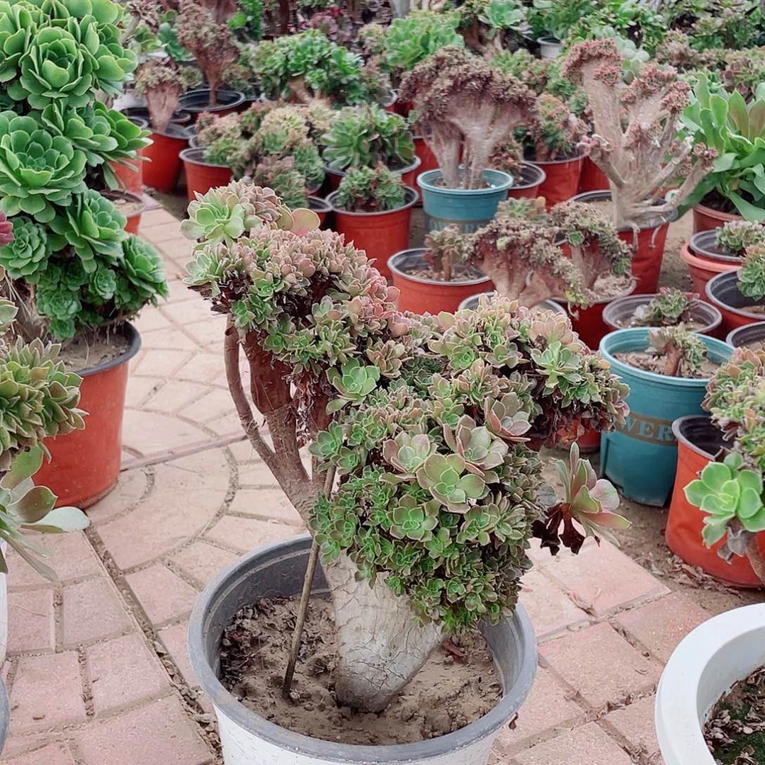 凭***雨给哈哈就很过分反反复复