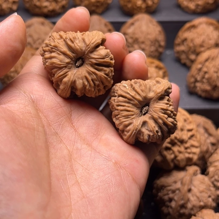 核桃手串/手链A****。南疆