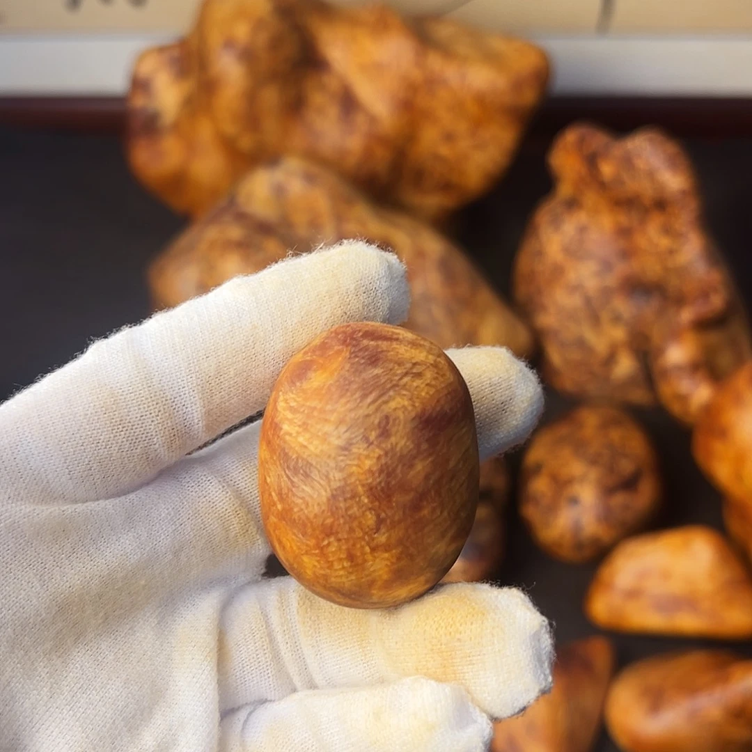 琥珀木长白山琥珀木