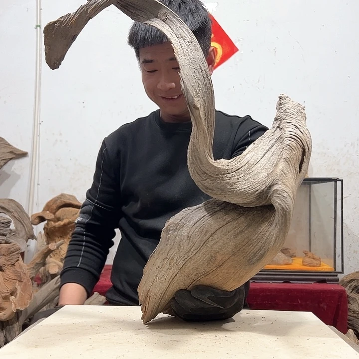 柏木道****5我们的生活是以