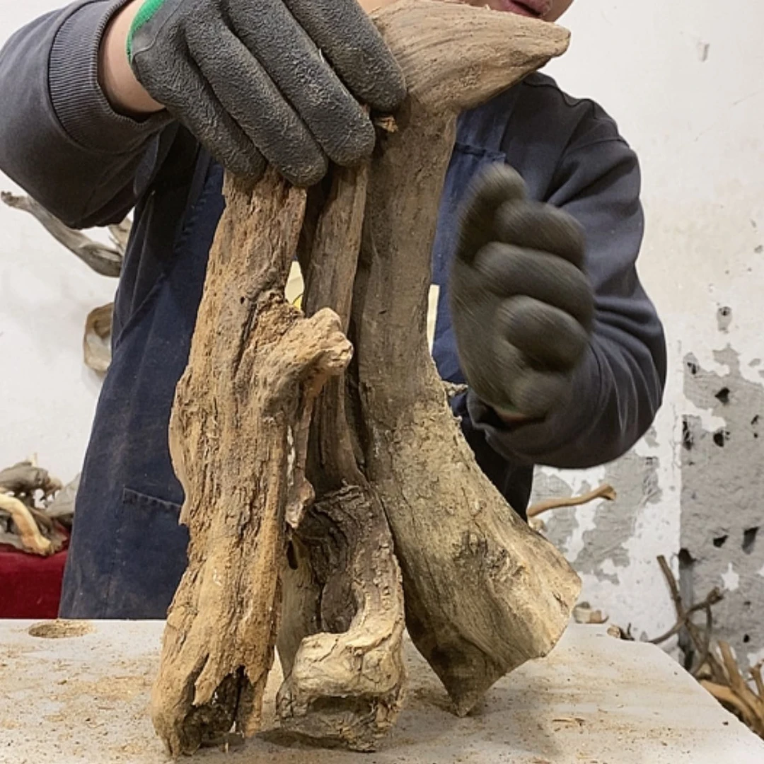 【闪购商品】柏木木****店我们都是好孩子