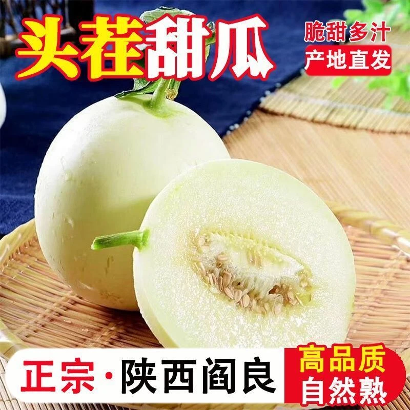 陕西阎良头茬小籽甜瓜软糯香甜新鲜当季水果现摘现发